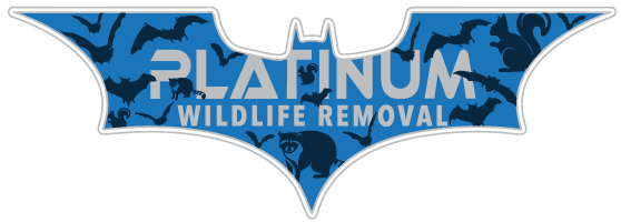 Muskegon Heights Wildlife Control